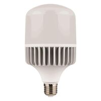 ΛΑΜΠΑ LED SMD T100 40W E27 6500K 100-277V