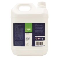 ΑΝΤΙΣΗΠΤΙΚΟ SPRAY ΧΕΡΙΩΝ 4L ΜΕ ΕΝΕΡΓΟ ΟΞΥΓΟΝΟ ΑΝΤΑΛΛΑΚΤΙΚΟ