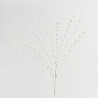 ΚΛΑΔΙ, ΜΕ 15 ΠΑΡΑΚΛΑΔΙΑ ΚΑΙ ΑΣΠΡΕΣ ΠΕΡΛΕΣ