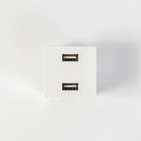 ΠΡΙΖΑ 2 Χ USB MODULES ΛΕΥΚΗ