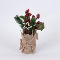 ΓΛΑΣΤΡΑΚΙ ΜΕ ΑΣΤΕΡΑΚΙ ΚΑΙ ΚΟΚΚΙΝΑ BERRIES, 22cm