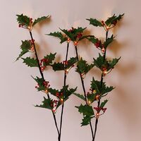 2 ΚΛΑΔΙΑ ΠΡΑΣΙΝΑ ΜΕ ΚΟΚΚΙΝΑ ΜΟΥΡΑ H75cm, ΜΠΑΤΑΡΙΑΣ 3ΧΑΑ, ΧΡΟΝΟΔΙΑΚΟΠΤΗ, 2*8 ΘΕΡΜΑ ΛΕΥΚΑ LED, ΠΡΟΕΚΤΑΣΗ ΠΑΡΟΧΗΣ 30cm, IP20