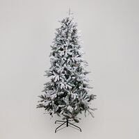 ΔΕΝΤΡΟ ΕΛΑΤΟ, ΧΙΟΝΙΣΜΕΝΟ ΜΕ ΚΟΥΚΟΥΝΑΡΙΑ, ΑΘΗΝΑ, 210cm