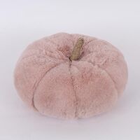 ΓΟΥΝΙΝΗ ΚΟΛΟΚΥΘΑ, ΡΟΖ, 15x16cm