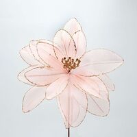 ΝΤΑΛΙΑ, ΡΟΖ, 33x45cm