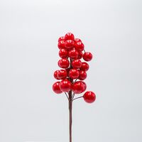 ΠΙΚΑΚΙ ΜΕ ΚΟΚΚΙΝΑ BERRIES, 28cm
