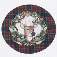 ΣΟΥΠΛΑ ΜΕ ΤΑΡΑΝΔΟ, 40cm