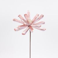 ΛΟΥΛΟΥΔΙ ΦΙΟΓΚΟΣ, ΡΟΖ, 25x45cm