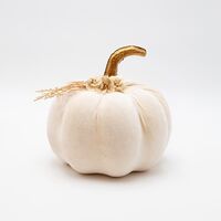 ΒΕΛΟΥΔΙΝΗ ΚΟΛΟΚΥΘΑ, ΥΠΟΛΕΥΚΗ, ΜΕ ΛΟΥΛΟΥΔΑΚΙΑ, 16x20cm