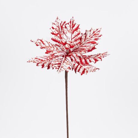 ΑΛΕΞΑΝΔΡΙΝΟ CANDY, ΠΑΓΩΜΕΝΟ, 27x45cm